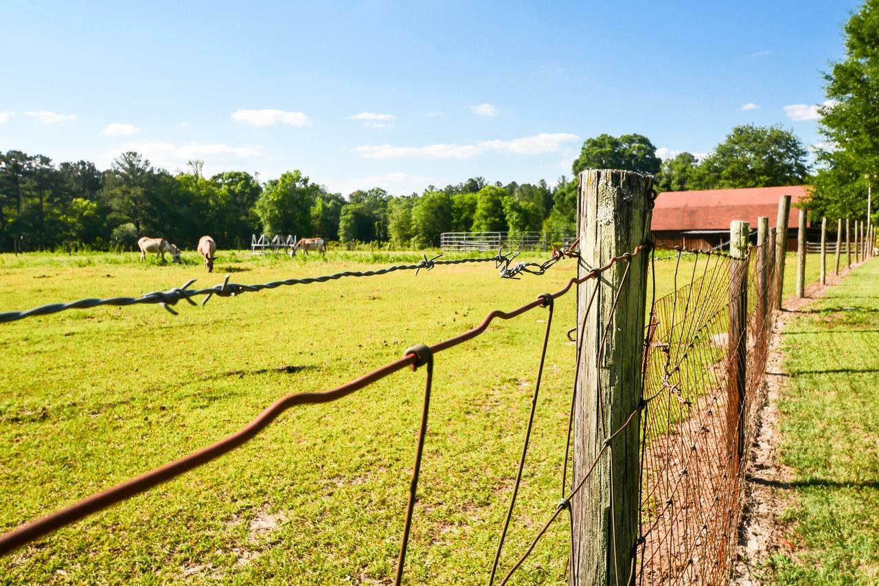 Dublin Farm Bed & Breakfast Luaran gambar
