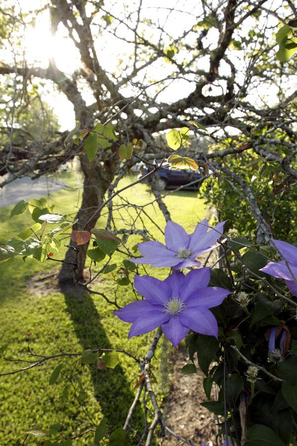 Dublin Farm Bed & Breakfast Luaran gambar