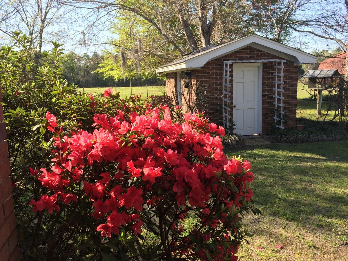 Dublin Farm Bed & Breakfast Luaran gambar