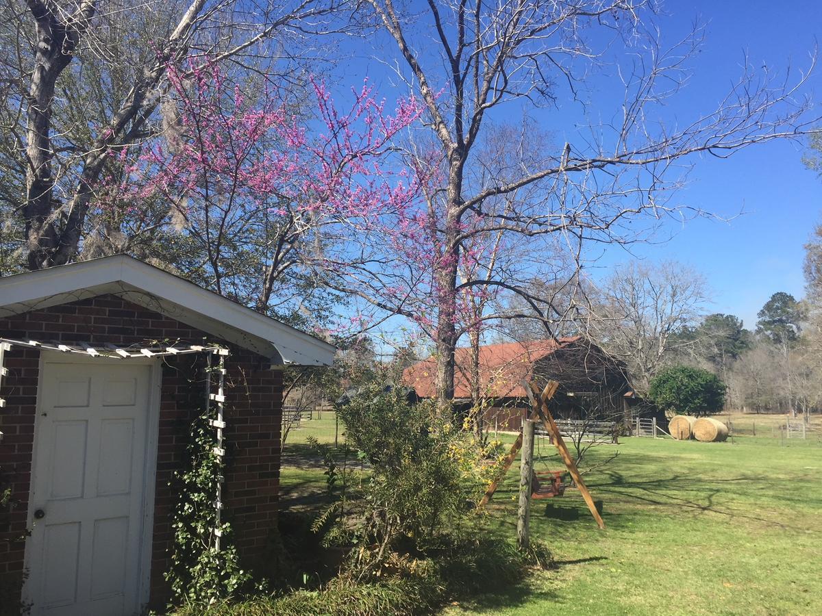 Dublin Farm Bed & Breakfast Luaran gambar