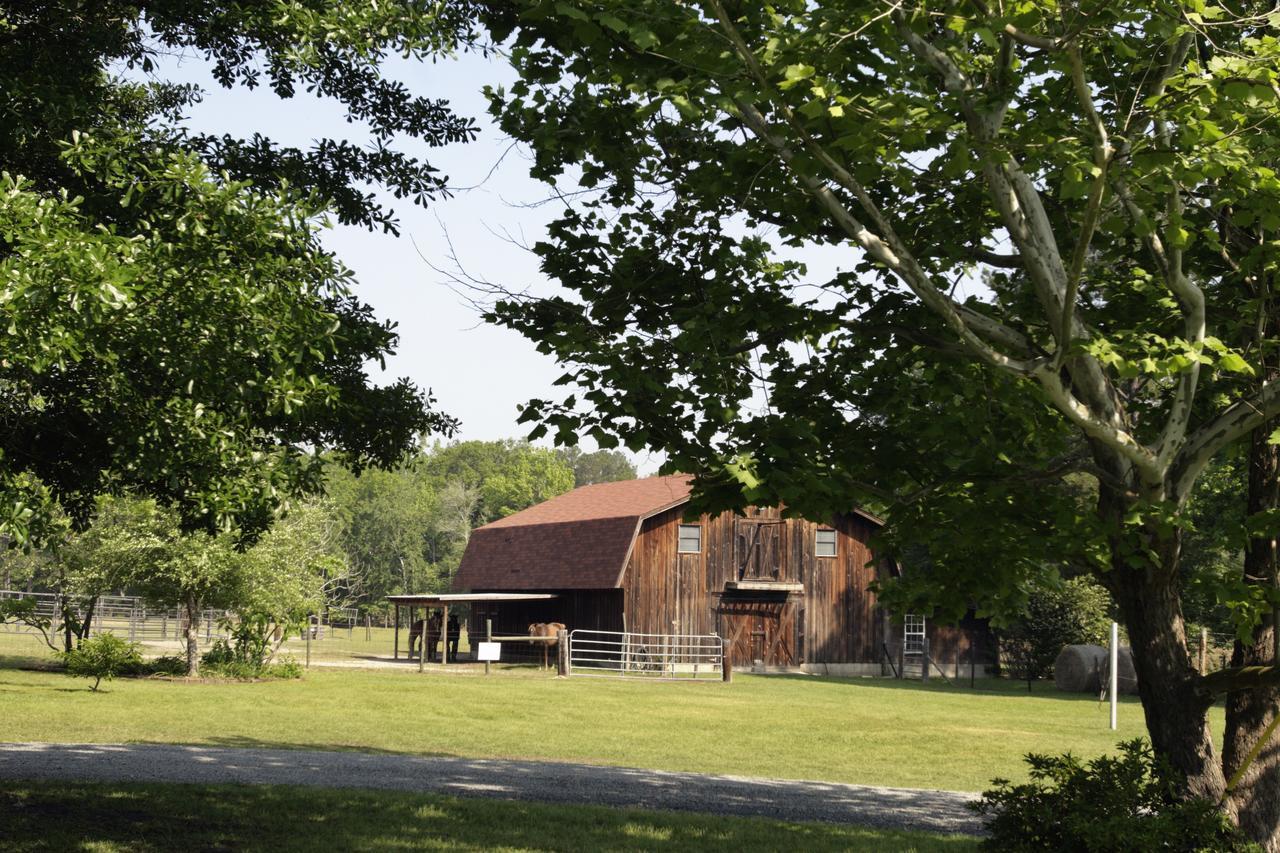 Dublin Farm Bed & Breakfast Luaran gambar