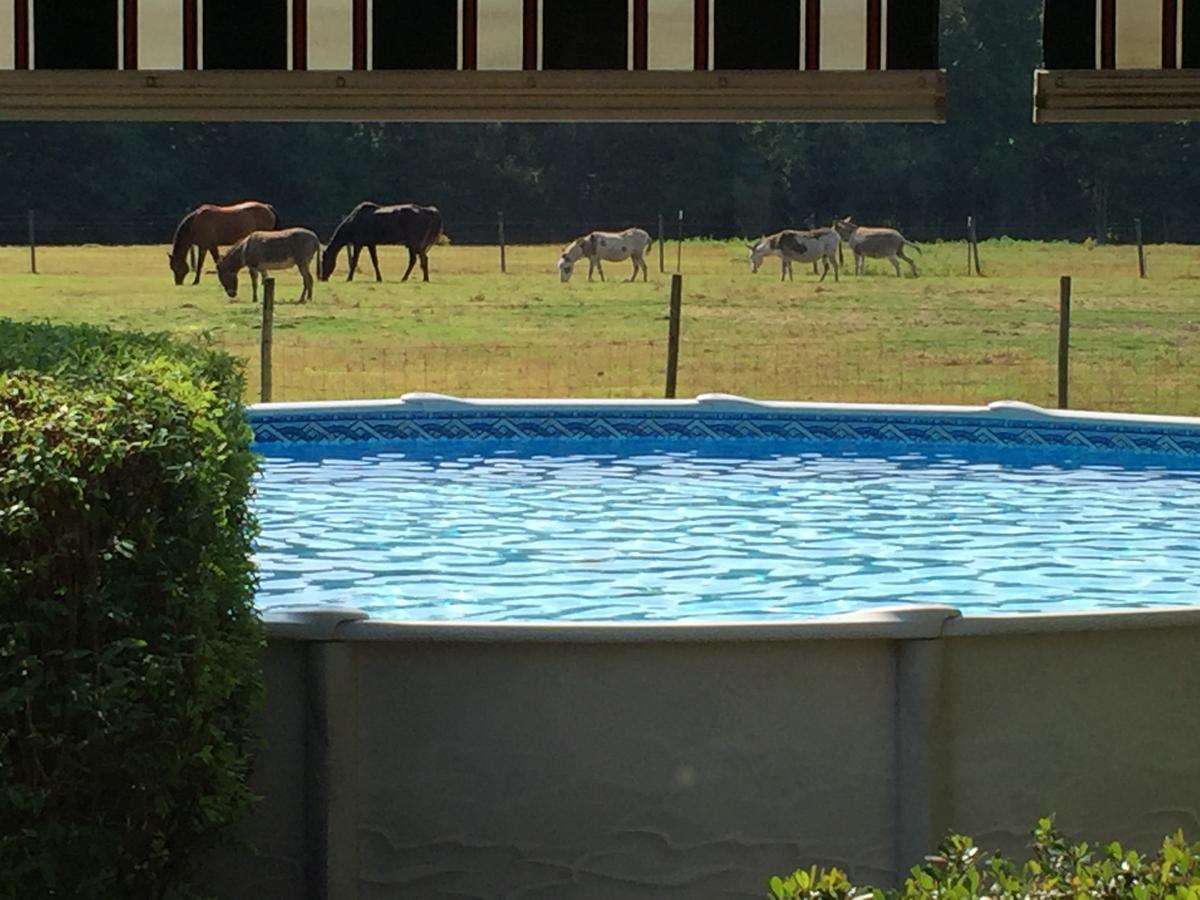 Dublin Farm Bed & Breakfast Luaran gambar
